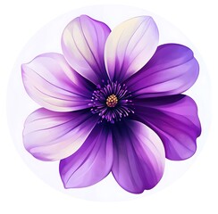 Watercolor purple flower clipart, on a white background