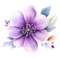 Watercolor purple flower clipart, on a white background