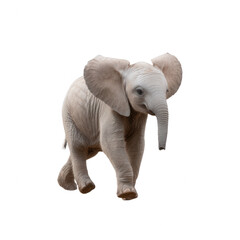 A young elephant walking gracefully on a white isolated background, showcasing its unique features and playful demeanor.