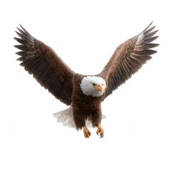An eagle in flight with its majestic wings spread wide, showcasing powerful feathers and a keen expression, set against a clean white background for emphasis.