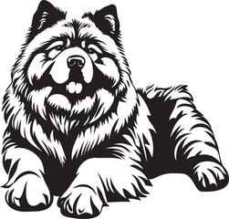 adorable Chow Chow dog