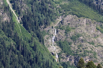 Mountain streams on the coniferous forested slopes of the Caucasus Mountains in Dombai in midsummer
