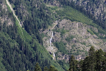 Mountain streams on the coniferous forested slopes of the Caucasus Mountains in Dombai in midsummer