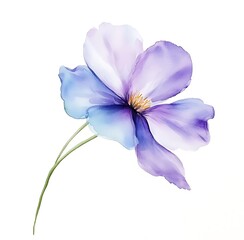 Naklejka premium Watercolor purple flower clipart, on a white background