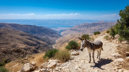Obraz premium Donkey on mountain path overlooking majestic valley with clear blue sky