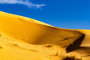 Close-up. Background. The Sahara desert.  Hight sandy dune of Grand Erg Oriental ( Great Eastern Sand Sea). Tunisia, Africa