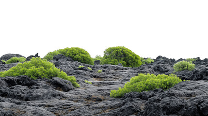 Rugged terrain featuring mixture of green plants and gray rocks isolated on white background