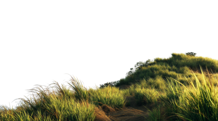  hill covered in lush green grass isolated on white background