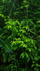 Lush Green Tropical Rainforest Foliage A Vibrant Display of Nature's Beauty