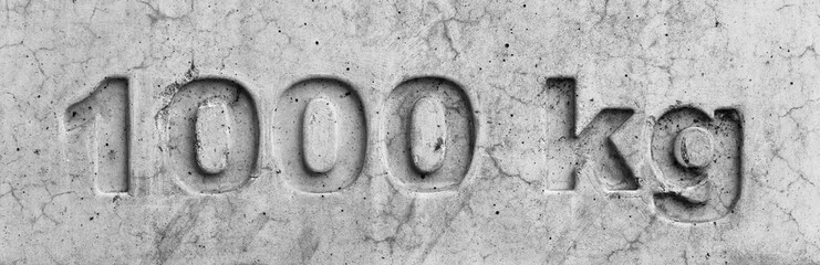 1000 kg