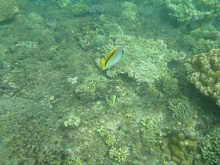 Bali and Singapore 2 