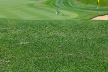 Close-up of perfectly manicured grass on golf course, vibrant green turf symbolizing precision, sport maintenance, and outdoor leisure environments