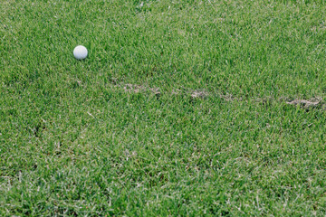 Close-up of perfectly manicured grass on golf course, vibrant green turf symbolizing precision, sport maintenance, and outdoor leisure environments