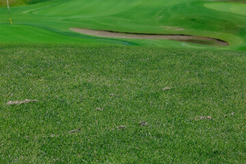 Close-up of perfectly manicured grass on golf course, vibrant green turf symbolizing precision, sport maintenance, and outdoor leisure environments