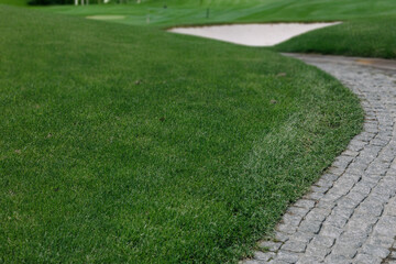 Close-up of perfectly manicured grass on golf course, vibrant green turf symbolizing precision, sport maintenance, and outdoor leisure environments