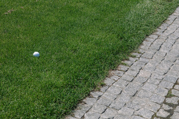 Close-up of perfectly manicured grass on golf course, vibrant green turf symbolizing precision, sport maintenance, and outdoor leisure environments