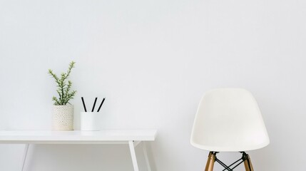 Minimalist indoor scene with plant and white furniture during daytime