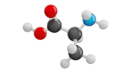 Alanine (Ala) molecule isolated on transparent background. Non-essential amino acid. Molecular formula: C3H7NO2. Chemical model: Ball and stick. 3D illustration.