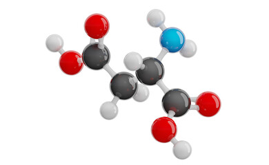 Aspartic Acid (Asp) molecule isolated on transparent background. Non-essential amino acid. Molecular formula: C4H7NO4. Chemical model: Ball and stick. 3D illustration.