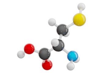 Cysteine (Cys) molecule isolated on transparent background. Semi-essential amino acid. Molecular formula: C3H7NO2S. Chemical model: Ball and stick. 3D illustration.