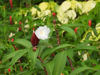 Bali and Singapore 1 