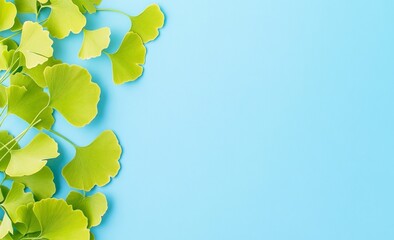 Bright green Gingko biloba leaves are placed along the left and top of a light blue background, creating a natural frame effect, leaving copy space
