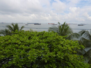 Bali and Singapore 1 