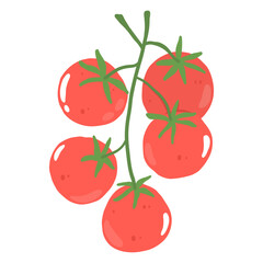 tomatoes on a white