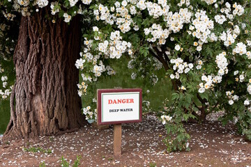  A warning sign posted near a pond. Danger. Deep water and advises keeping away from the edge. White flowers and summer foliage surround the area.
