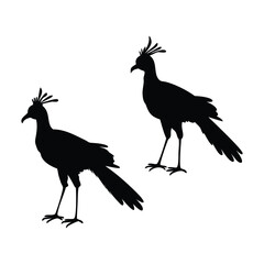 Secretary bird silhouettes White Background