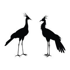 Secretary bird silhouettes White Background