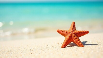 Starfish resting on a sandy beach with turquoise water in the background on a sunny day
