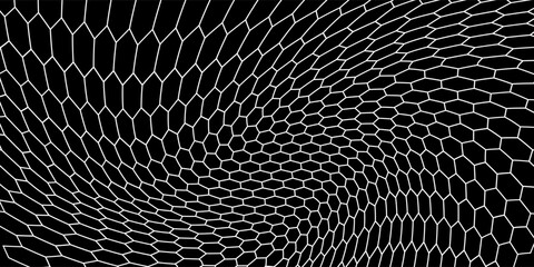 Black and white honey hexagonal cells background. geometric hive hexagonal honeycombs. Vector net dynamic eps 10