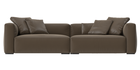 sofa leather brown front view isolated.