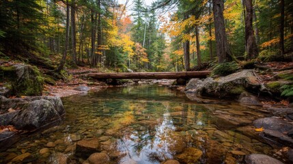 Fototapeta premium Autumn Forest River Scene with Log Bridge and Colorful Reflections