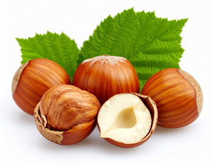 Organic Hazelnuts  – Natural Healthy Snack Rich in Nutrients