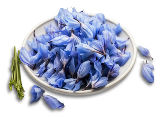 Edible blue flower petals arranged on a white plate, isolated , cut out