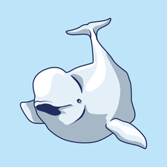 beluga whale with white background separate