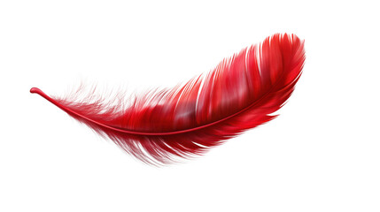 red feather on white background © Muhammad