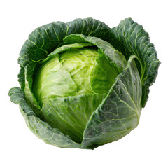 Fresh green cabbage isolated on transparent background