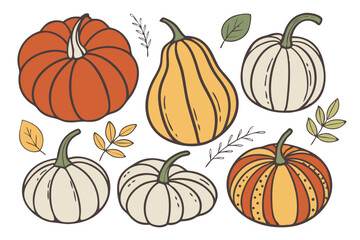 vector illustration of pumpkin