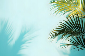 Palm tree leaves against turquoise sky and white wall. Pastel colors, creative colorful minimalism. Copy space for text