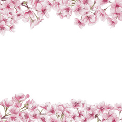 Frame of sakura flowers. Small pink flowers on branches and petals. Spring blossom. Watercolor illustration without background. Hand drawing. Template for text.