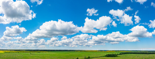 Green field under a wide blue sky with scattered white clouds on a sunny day, panoramic rural landscape ideal for agriculture and farming. – Agriculture. Nature. Rural Development.