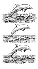 Obraz premium Engraved dolphin leaping ocean waves curved body joyful pose vintage marine wildlife illustration detail