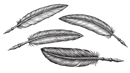 Engraved feather quill pen elegant writer tool vintage bold-line traditional old illustration design © Gabut Stock