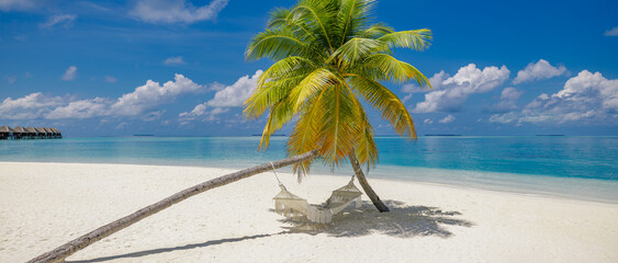 Picturesque tropical beach background as summer relax landscape with beach swing or hammock white sand calm sea sunny sky design. Amazing beach scene vacation summer holiday. Luxury panoramic travel
