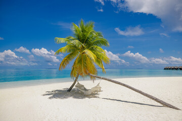 Picturesque tropical beach background as summer relax landscape with beach swing or hammock white sand calm sea sunny sky design. Amazing beach scene vacation summer holiday. Luxury panoramic travel