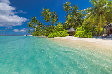 Scenic tropical beach paradise on exotic island. Relaxing palm trees sunny sea sand sky. Luxury summer vibes perfect travel destination for honeymoon coastal adventures. Majestic best tourism nature