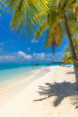 Scenic tropical beach paradise on exotic island. Relaxing palm trees sunny sea sand sky. Luxury summer vibes perfect travel destination for honeymoon coastal adventures. Majestic best tourism nature
